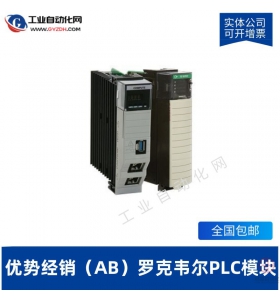 AB羅克韋爾PLC模塊-1747-BSN