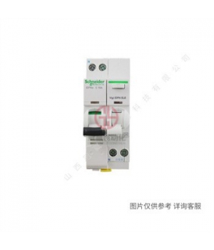 施耐德iINT125隔離開(kāi)關(guān)-2P-32A-A9S68232